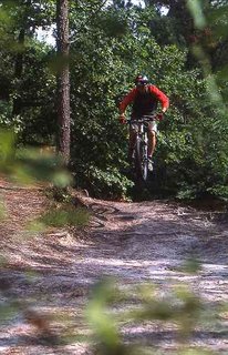 Biking






 in   the loir valley